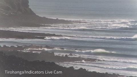 Good Surf Now!